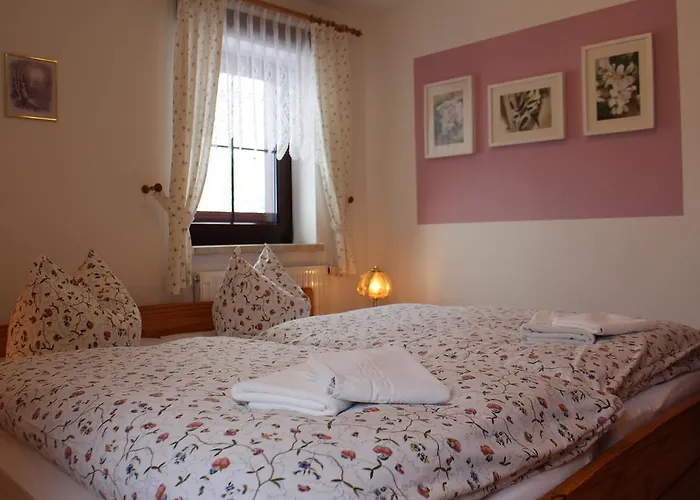 Guest house Schanzenblick 3*